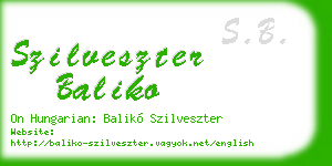 szilveszter baliko business card