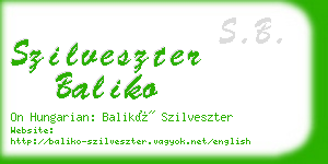 szilveszter baliko business card